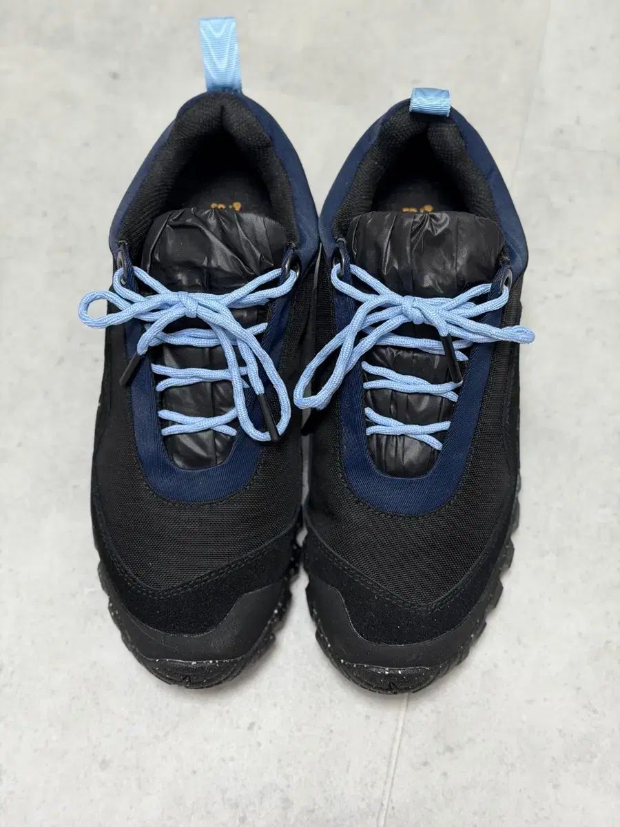 grds バルモラル 10 balmoral 250