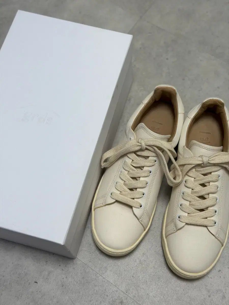 grds ブルー처12 blucher 12 250