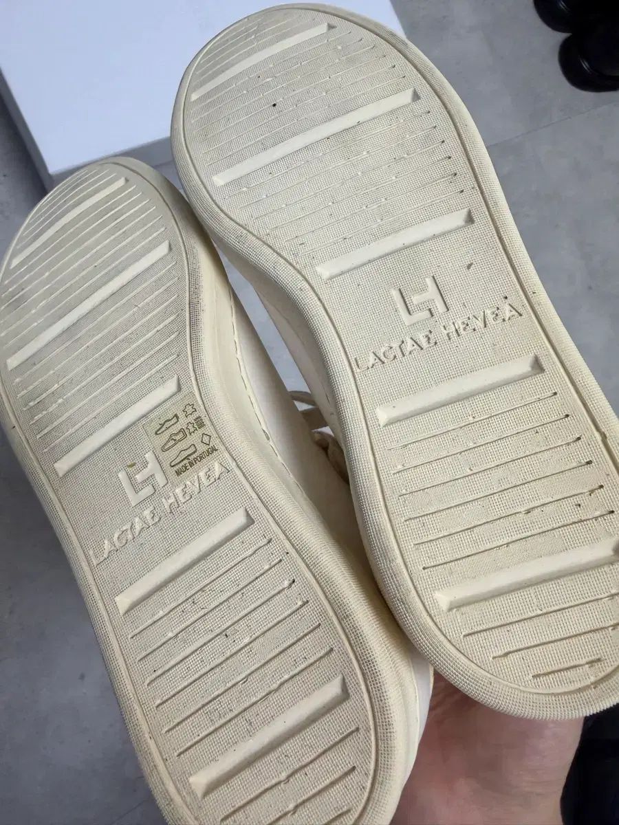  grds ブルー처12 blucher 12 250 スニーカー 靴