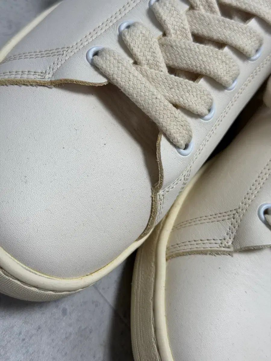 ブルー처12 blucher