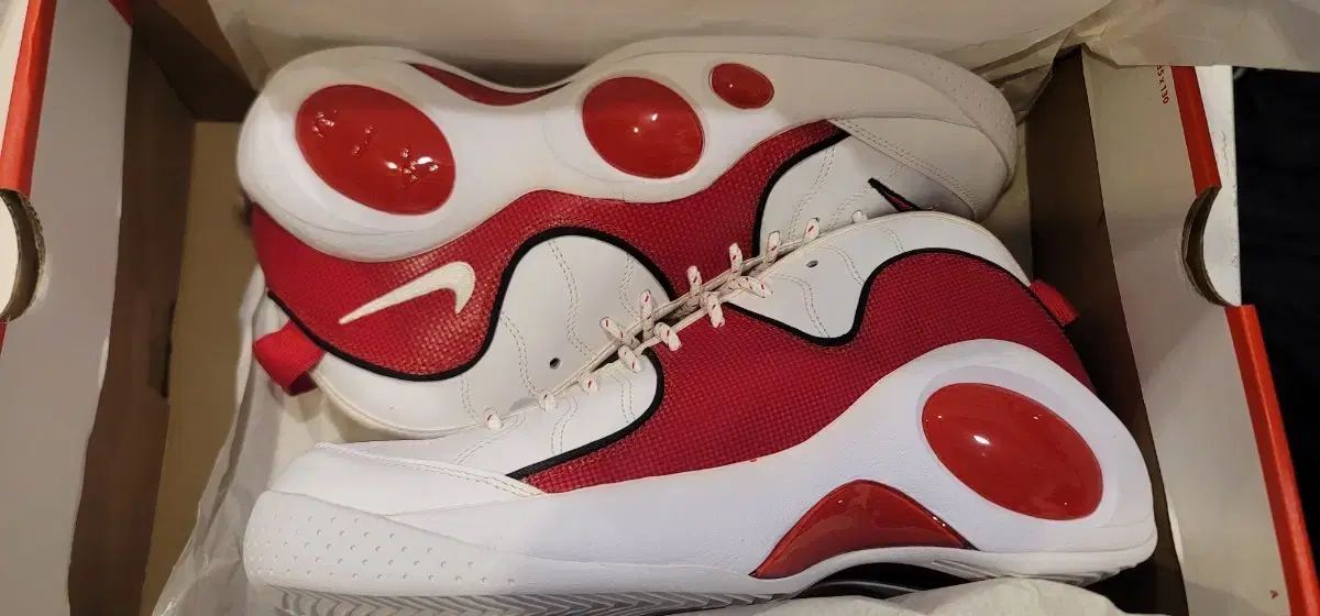 ナイキ エア フライト95