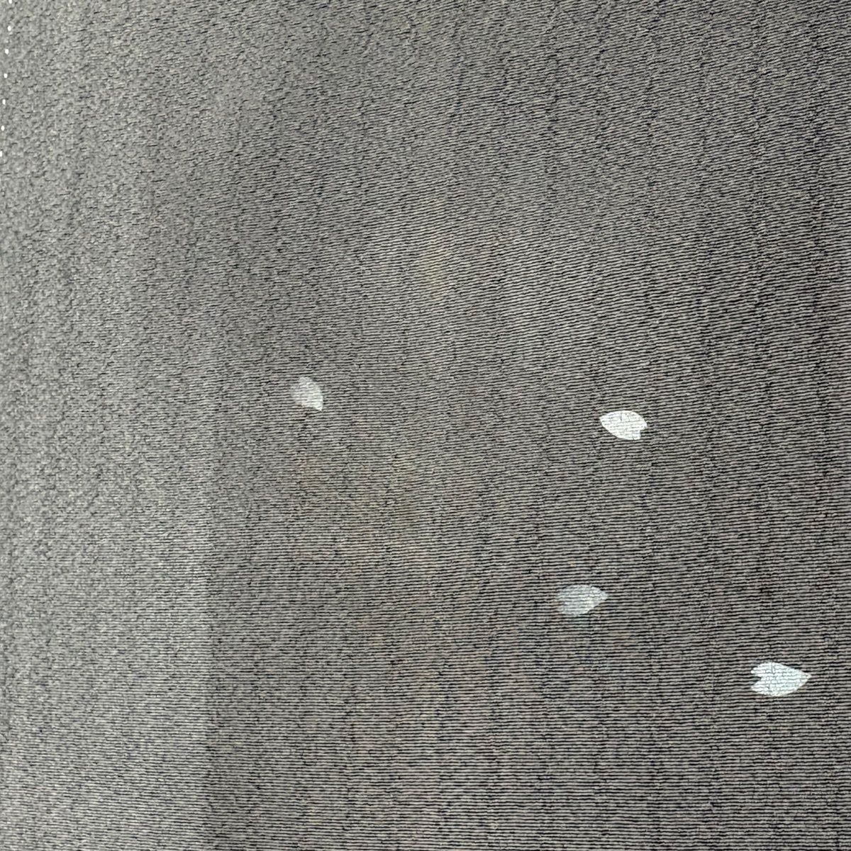  小紋 身丈161 cm 裄丈63.5 S 袷 桜の花びら 地紋 灰色 正絹 小紋 着物