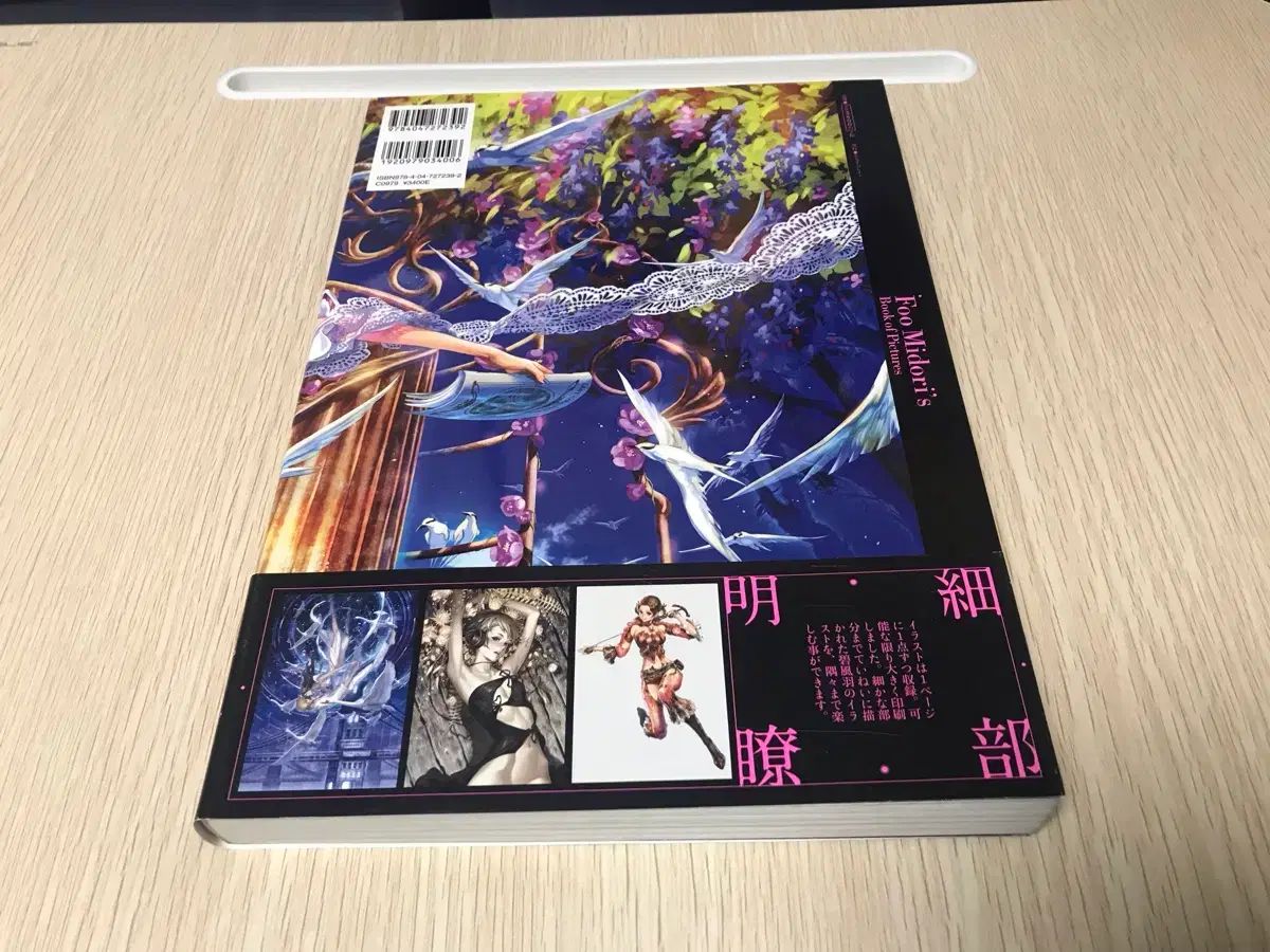 高峯 翠 WHO アートブック 画集 写真集 イラスト集