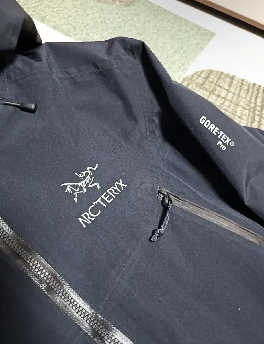 ARC TERYX アークテリクス ベータ AR Pro GORE TEX ゴアテックス ウィメンズ L