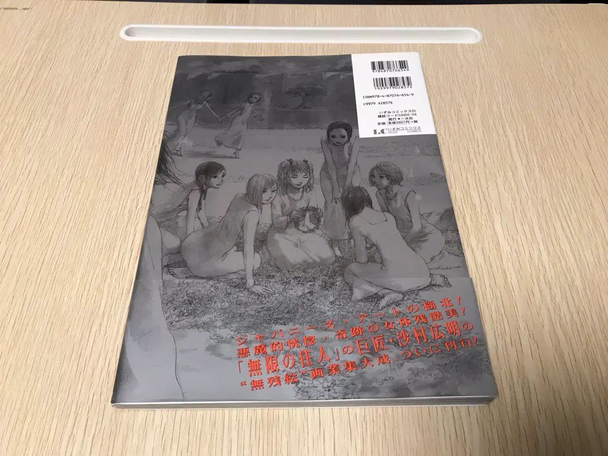 サムライ アキ アートブック 画集 写真集 イラスト集 漫画 無限の主人 作家