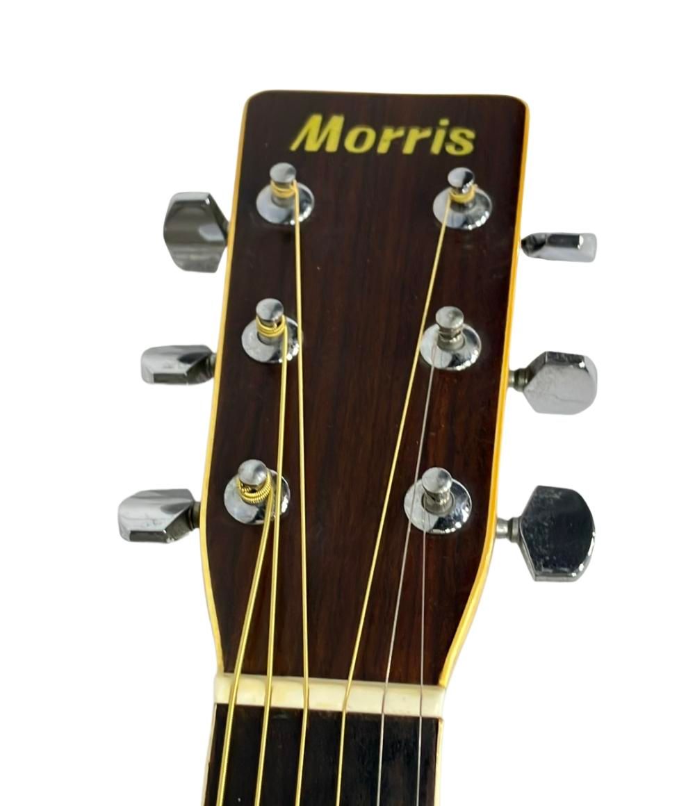 アコースティックギター W