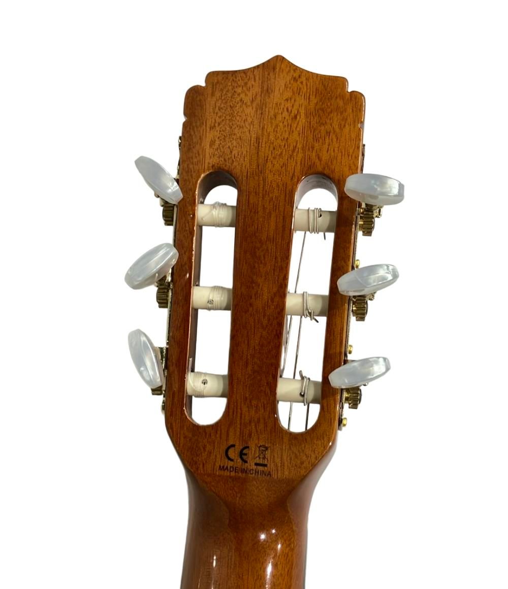 アリア アコースティックギター