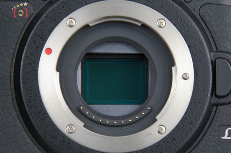  Panasonic パナソニック LUMIX DMC GH 4 ブラック ミラーレス一眼カメラ シャッター回数僅少 ミラーレスカメラ ミラーレス一眼 デジタルカメラ