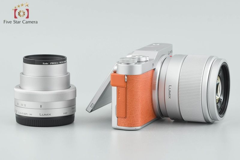 シャッター回数僅少 ミラーレスカメラ