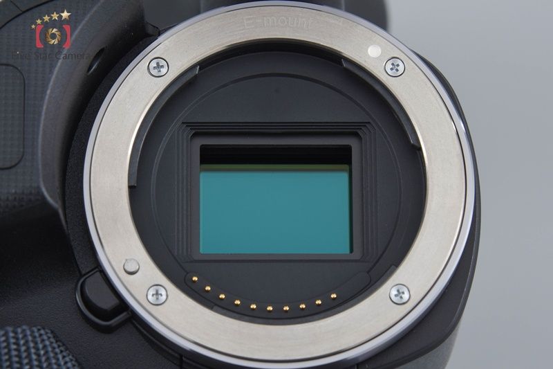  SONY ソニー NEX VG 10 ビデオカメラレコーダー ビデオカメラ ビデオカメラ本体 ビデオカメラ