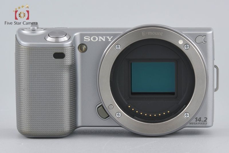 シルバー ミラーレスカメラ