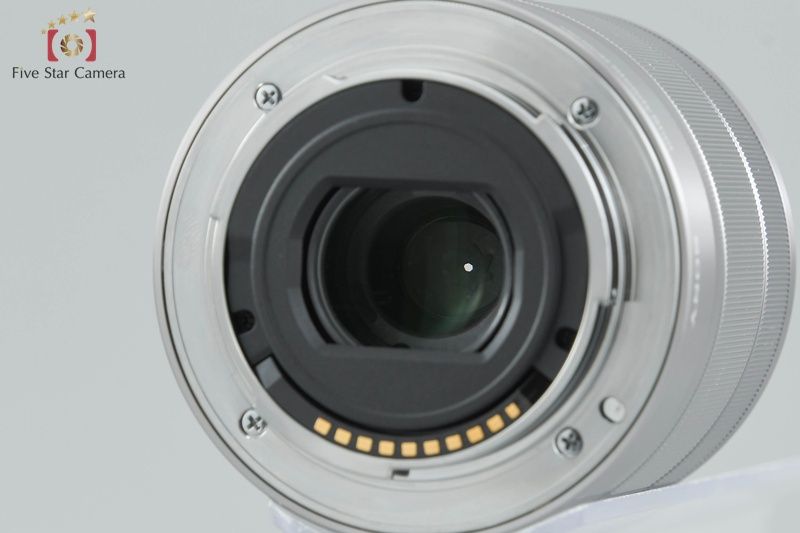 シルバー ミラーレスカメラ