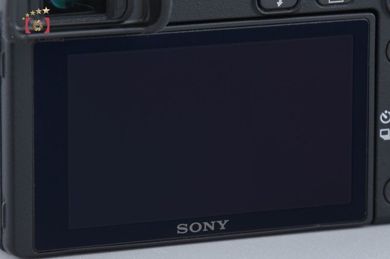  SONY ソニー α NEX 6 ブラック ミラーレス一眼カメラ シャッター回数僅少 ミラーレスカメラ ミラーレス一眼 デジタルカメラ
