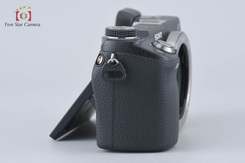 ミラーレスカメラ