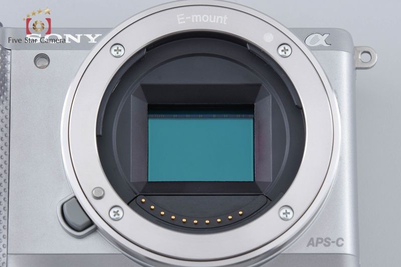 シルバー ミラーレスカメラ