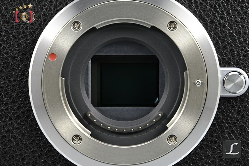  Panasonic パナソニック LUMIX DMC GX 7 MK 2 シルバー ミラーレス一眼カメラ ミラーレスカメラ ミラーレス一眼 デジタルカメラ