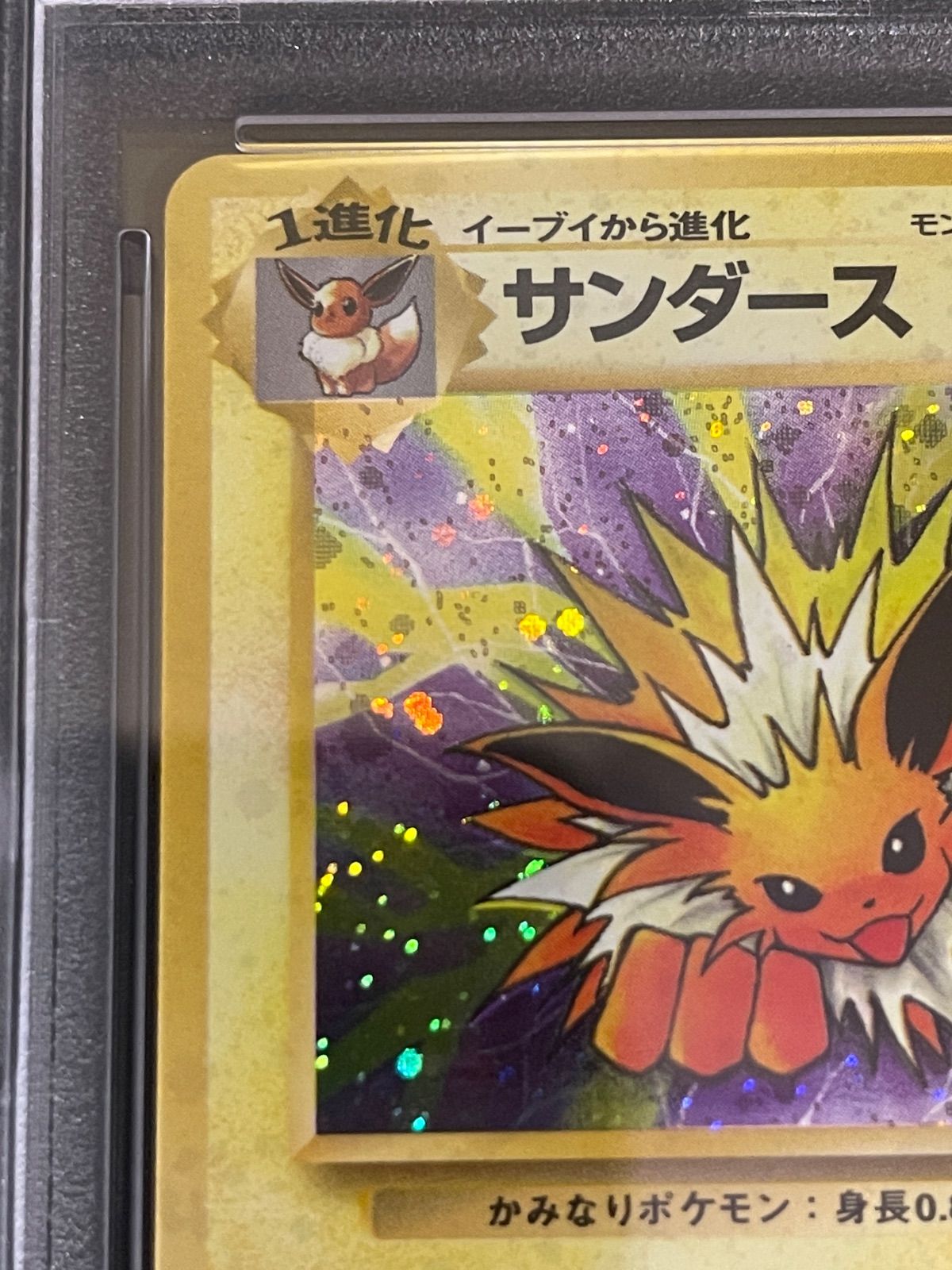 ポケモンカード 1997年 サンダース 旧裏 ジャングル PSA10鑑定品
