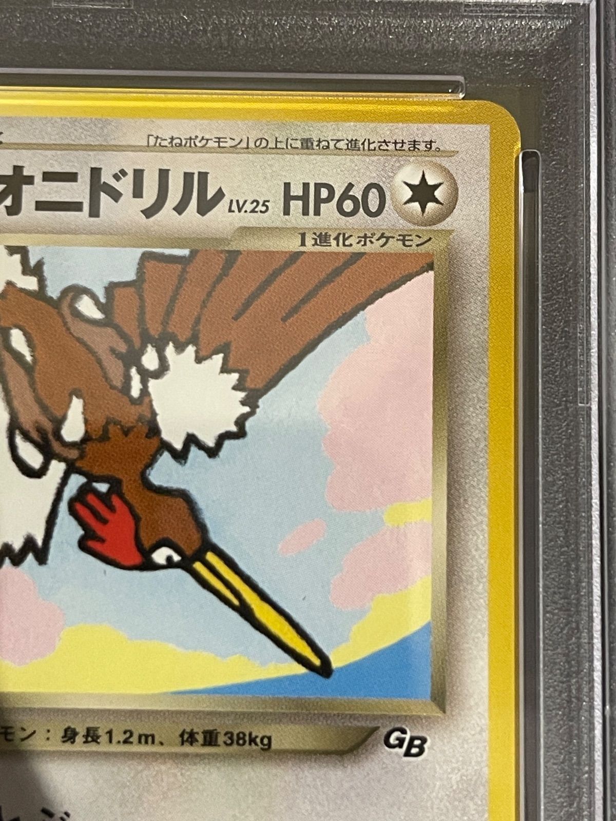 ポケモンカード 2001年 わるいオニドリル 旧裏 プロモ PSA8鑑定品