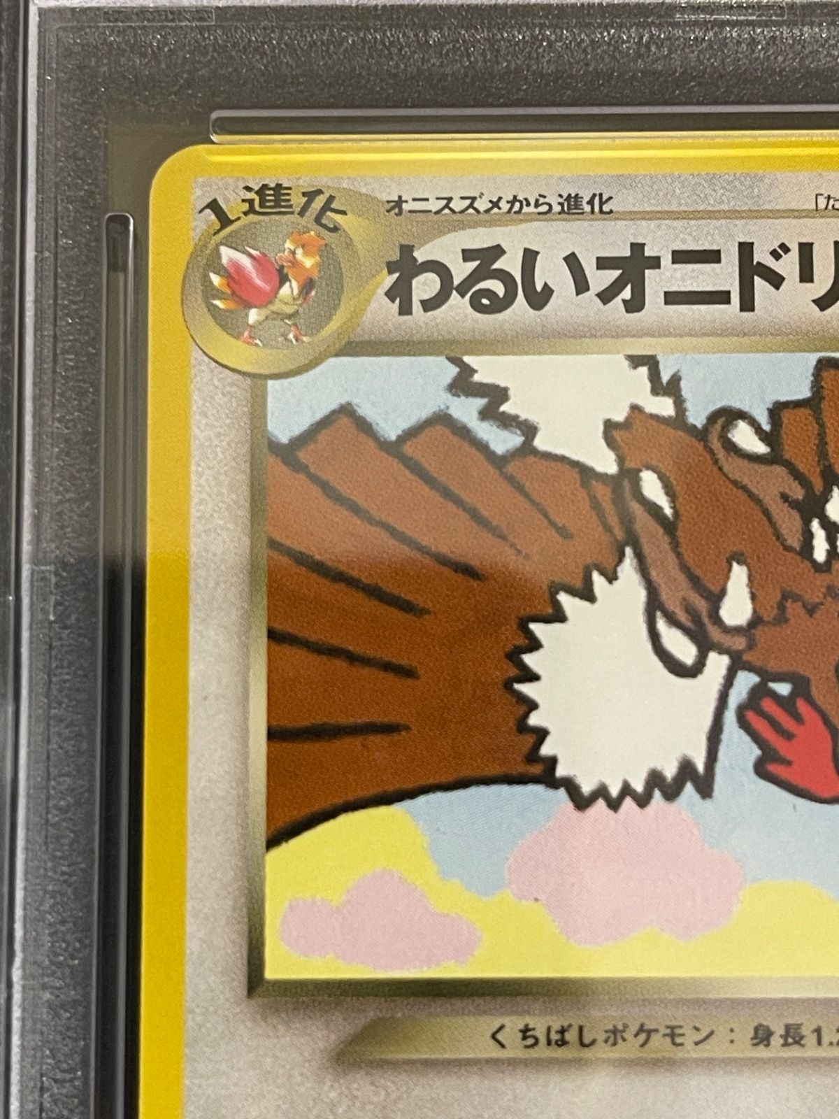 ポケモンカード 2001年 わるいオニドリル 旧裏 プロモ PSA8鑑定品