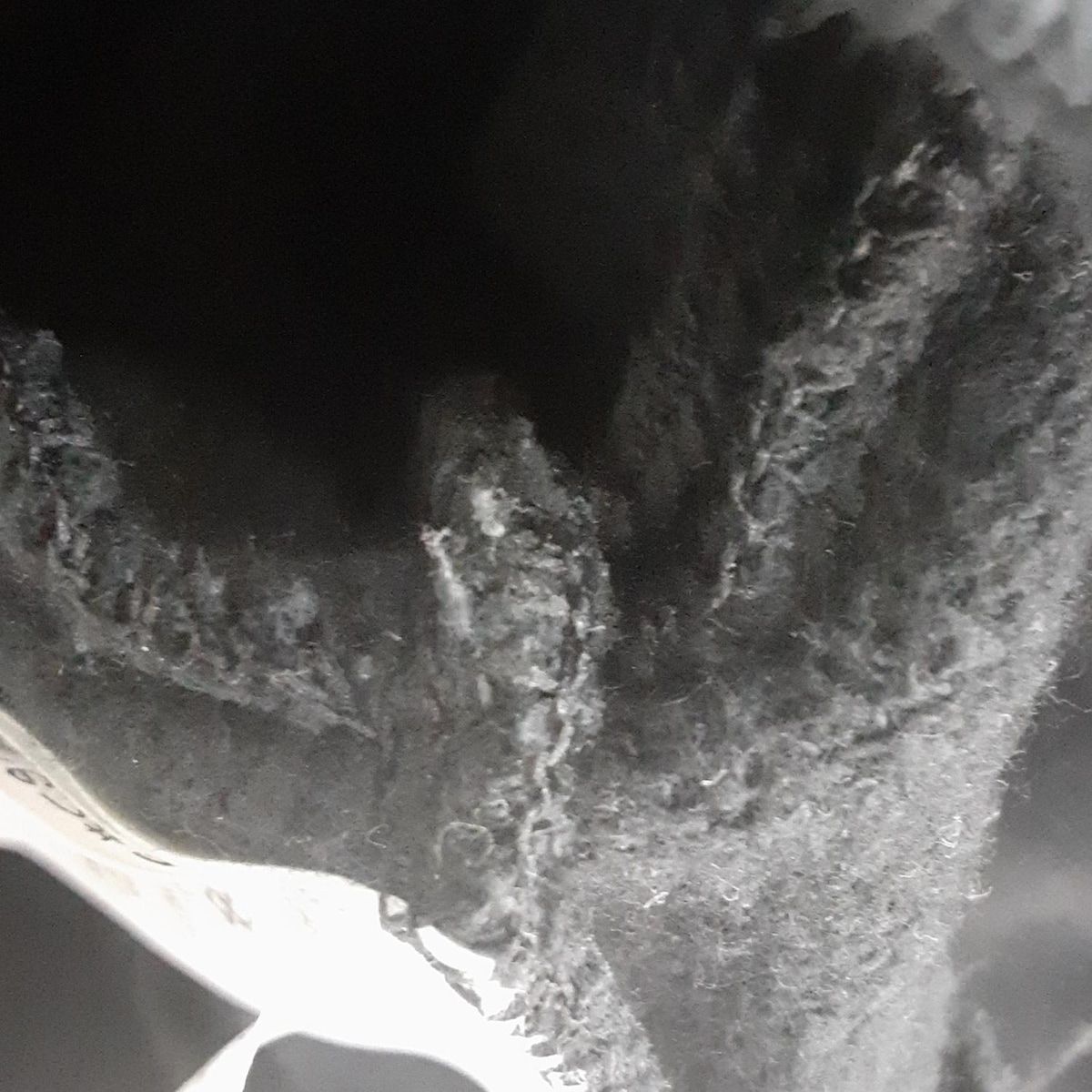 レディースパンツセットアップ レディース