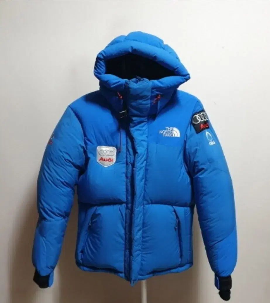 THE NORTH FACE ヒマラヤ アウディ コラボ 95 最