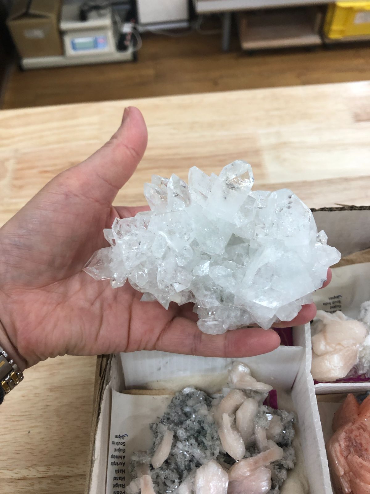 Stilebite