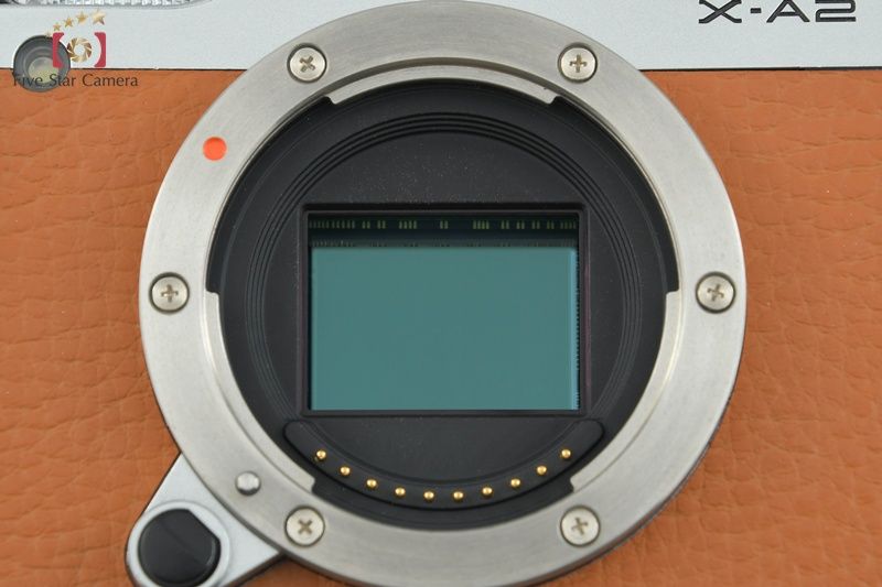 ミラーレス一眼カメラ