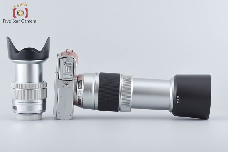 ブラウン ダブルズームレンズキット