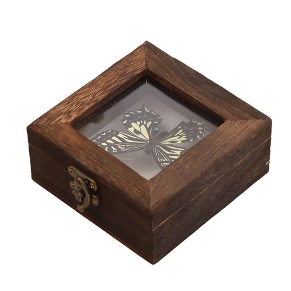 新品 昆虫標本箱 小型 標本ケース ドイツ箱 木製 アクリル透明蓋 ミニ