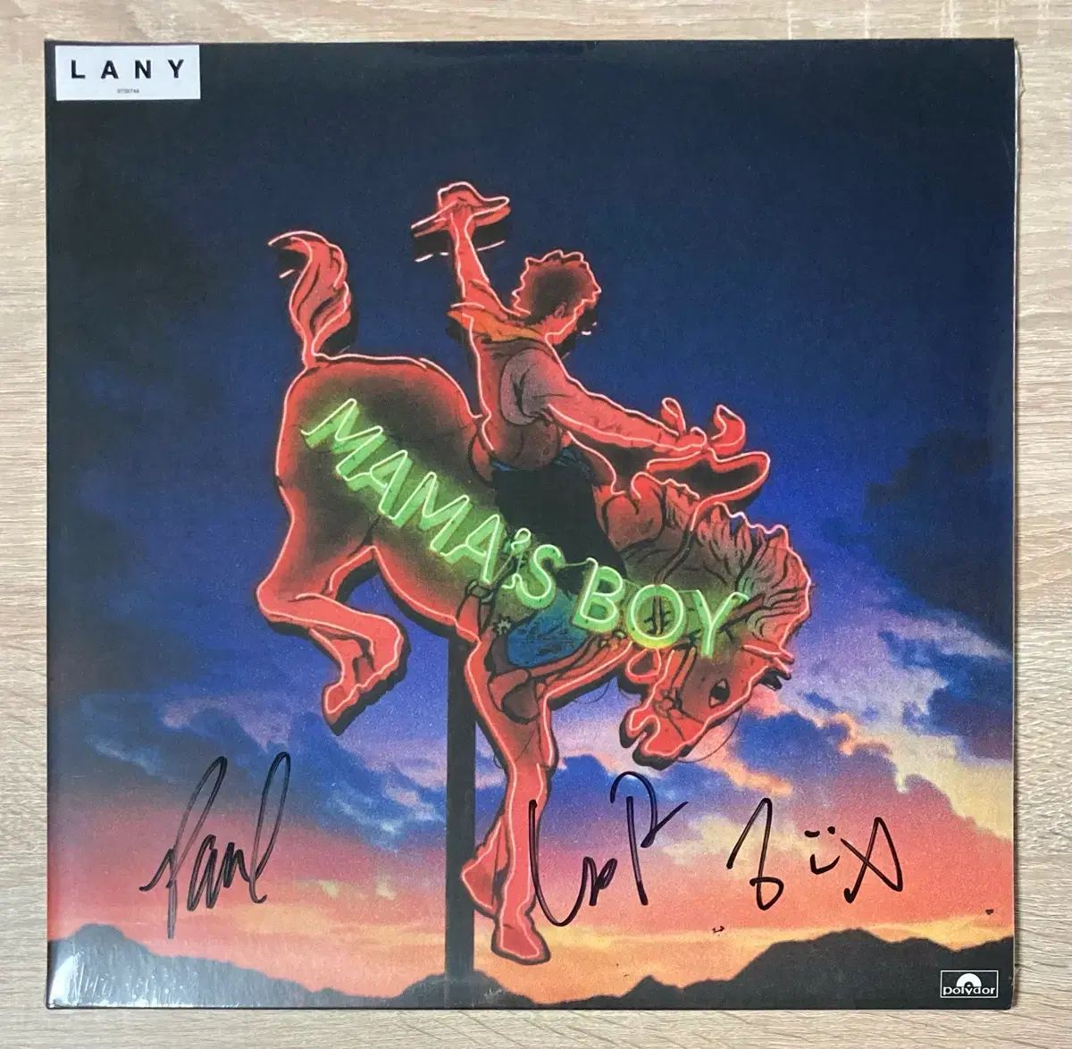 レイニー Lany ー 3 家 mama s boy LP 看板