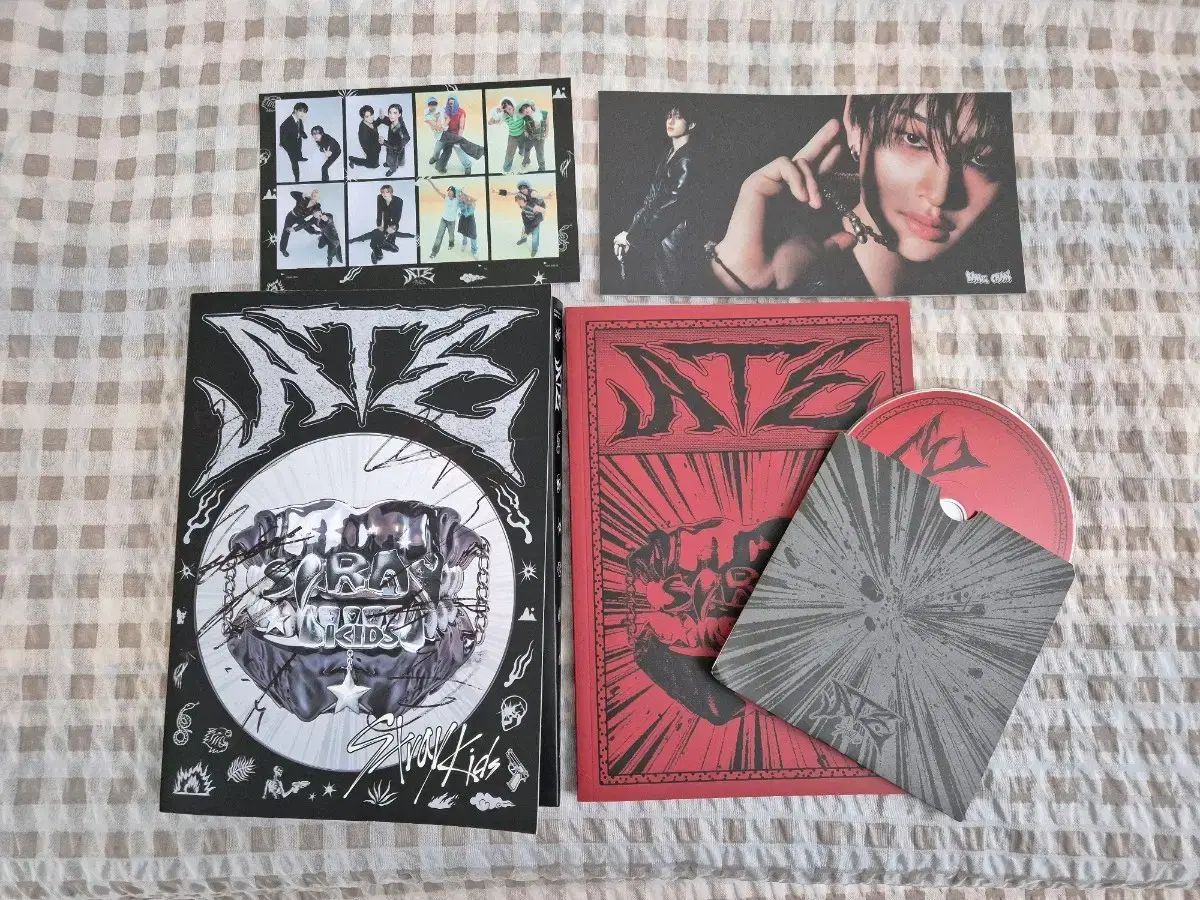 Stray Kids ストレイキッズ スキズ SKZ ate サイン アルバム