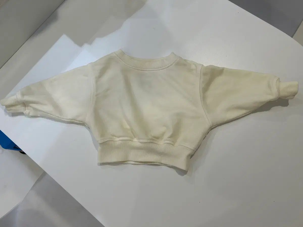 本物保証，最新作 アース リー リバーシブル スウェット 2サイズ その他