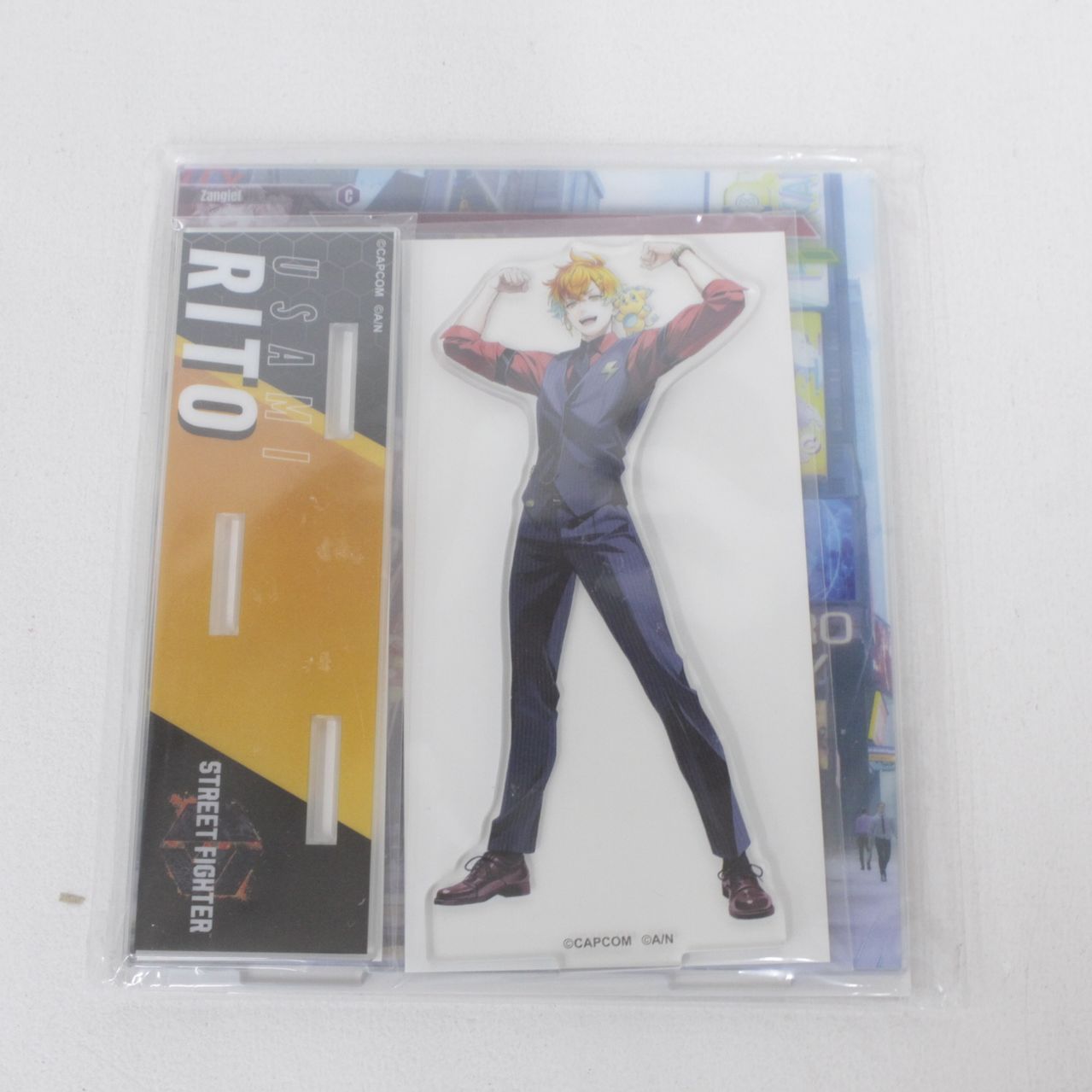 現地球 Copiapoa コピアポア 銅羅丸 デュラ 輸入株 カキコ自根 貴重