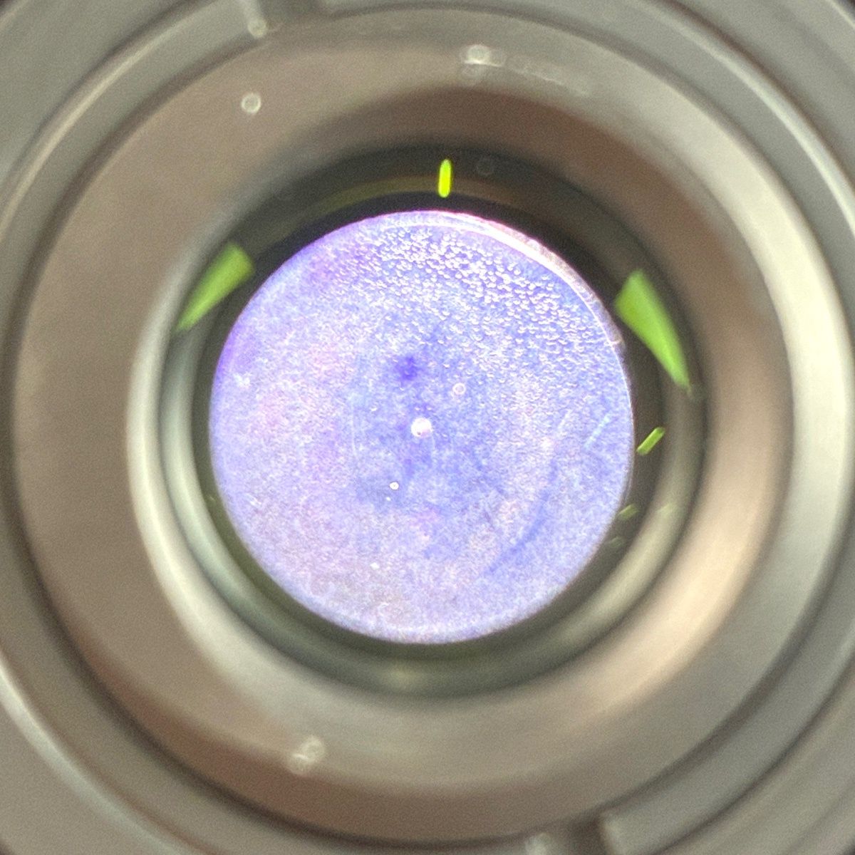 コンタックス CONTAX Distagon T* 18mm F4 AEG ディスタゴン 一眼