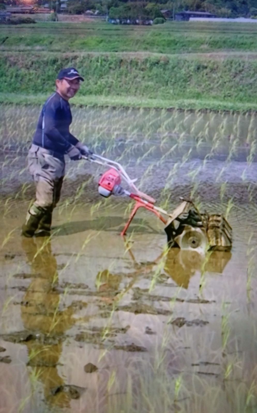 R7年新米 自然栽培 黒米ミックス2kg 玄米 - メルカリ