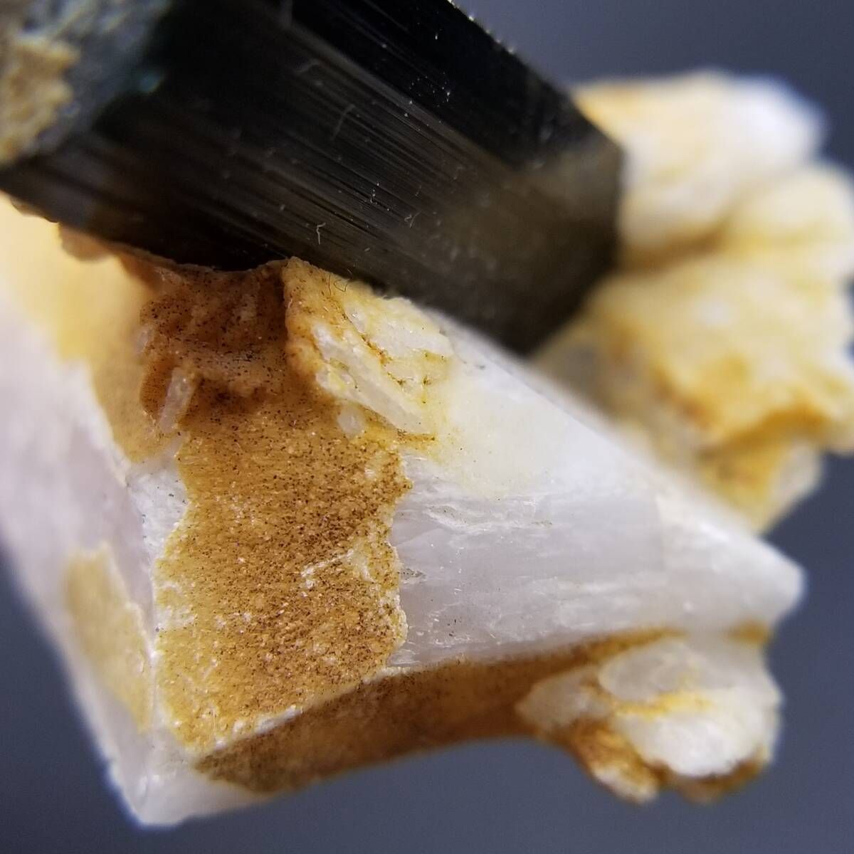 Skardu産 ブラックトルマリン 原石 母岩付き 艶のある結晶 天然鉱物