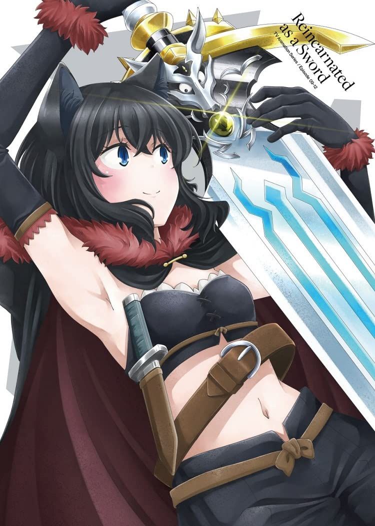 転生したら剣でした DVD Vol 3 品