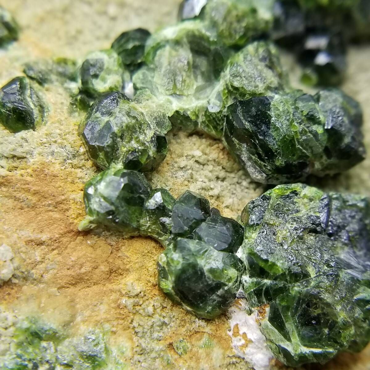 Belqeys イラン Green Demantoid Garnet 標本 グリーン デマントイド ガーネット アフガニスタン 原石 鉱物 ベルキス 104