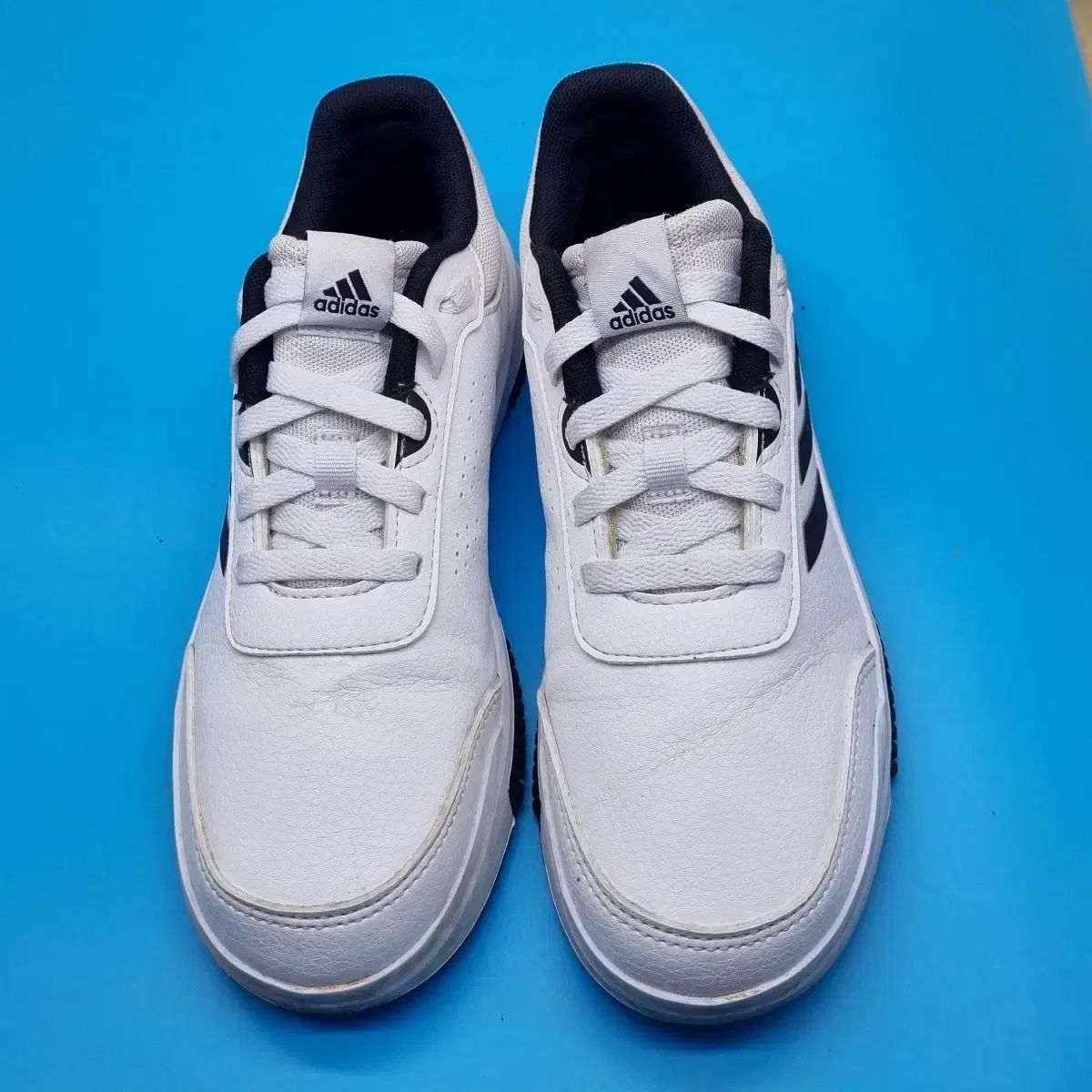 シューズ(男性用) NIKE size 24.5cm アディダス レディース スニーカー adidas Tensaur ラン Run テン