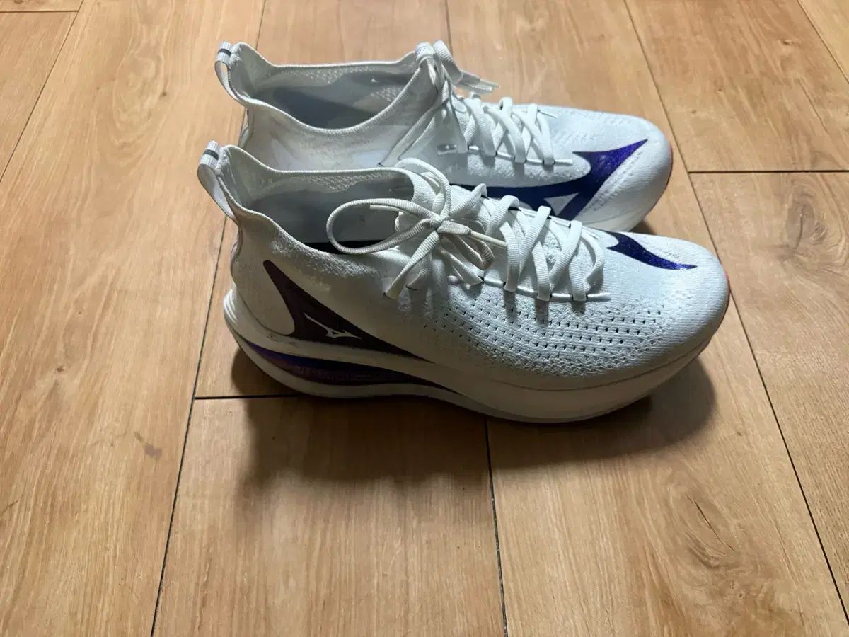 ミズノ NEOヴィスタ 2