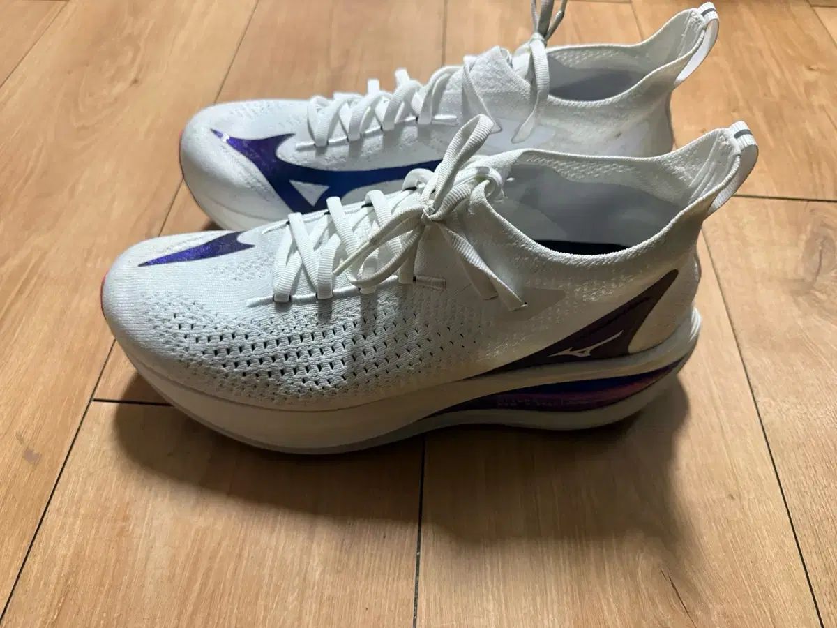 ミズノ NEOヴィスタ