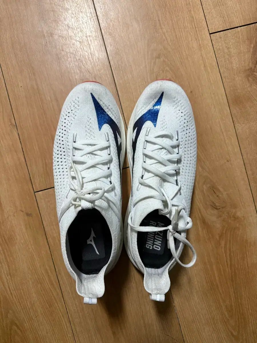 ミズノ NEOヴィスタ 2