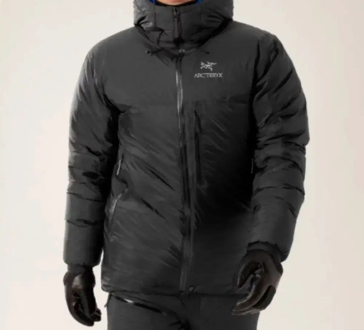 アークテリクス アルファパーカ ラージ