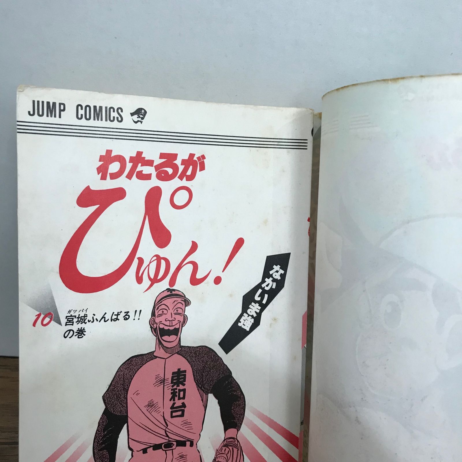 わたるがぴゅん!　全巻　なかいま強 わたるがぴゅん漫画全巻セット