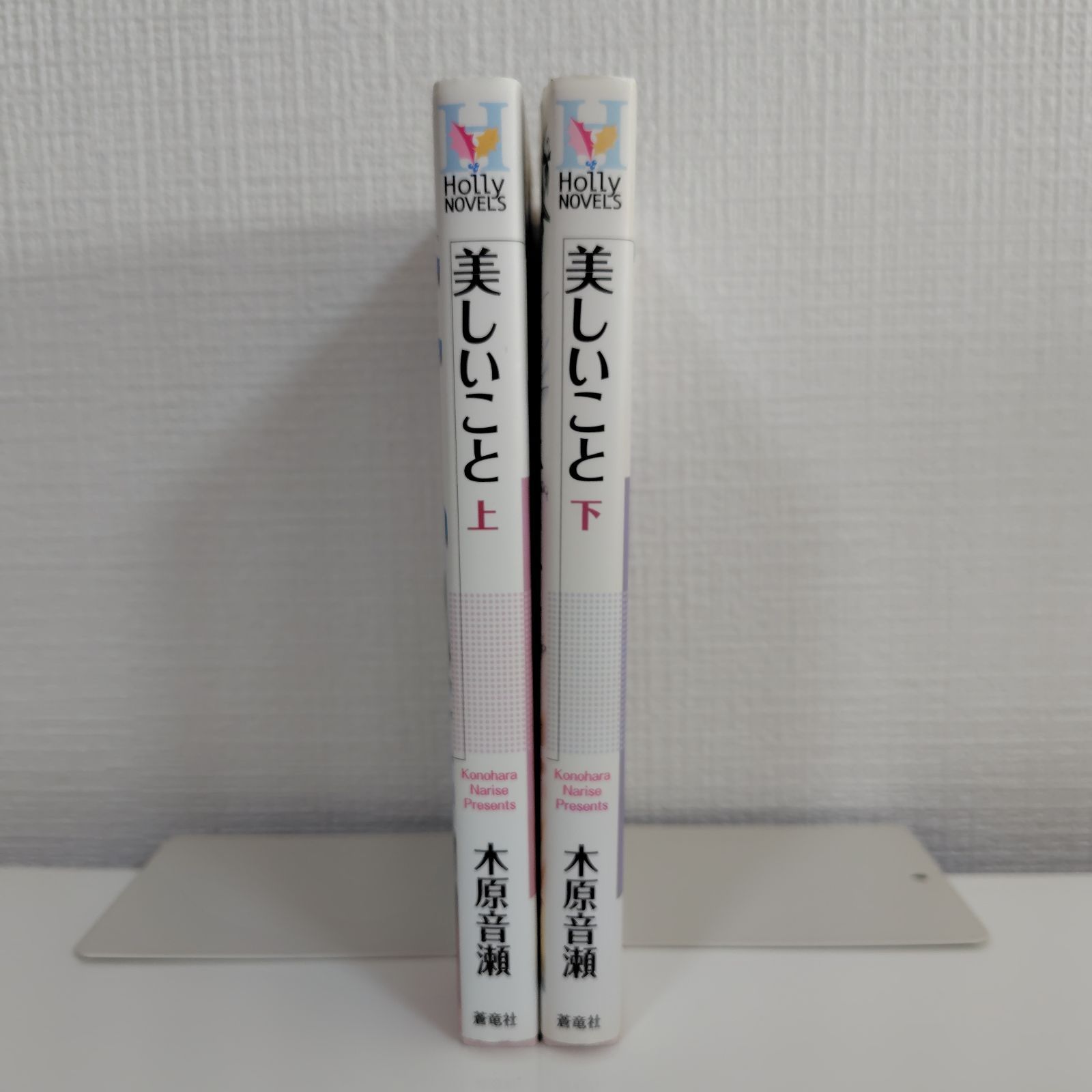 木原音瀬 美しいこと 上下セット 小説 BL - メルカリ