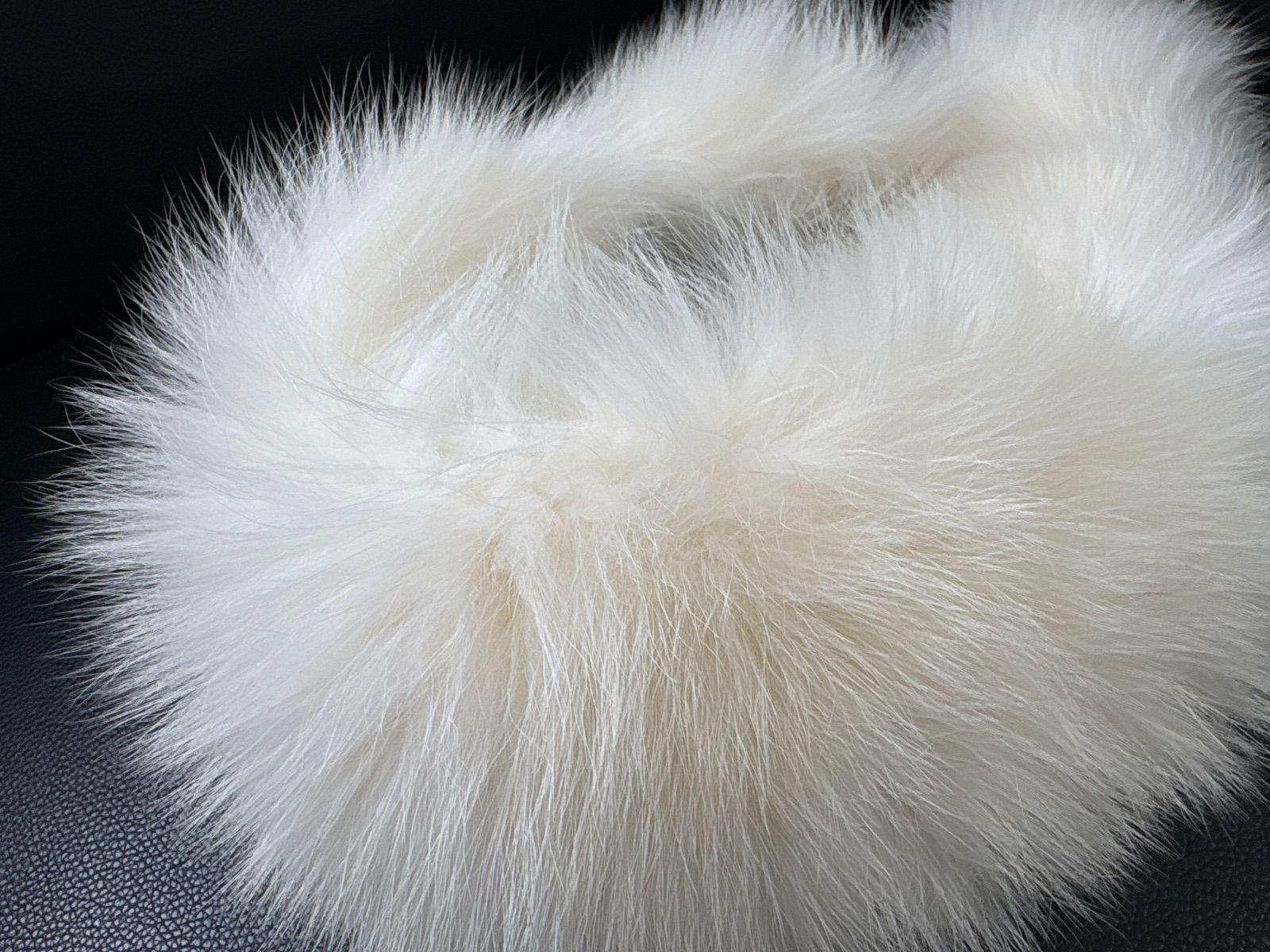 サガフォックス