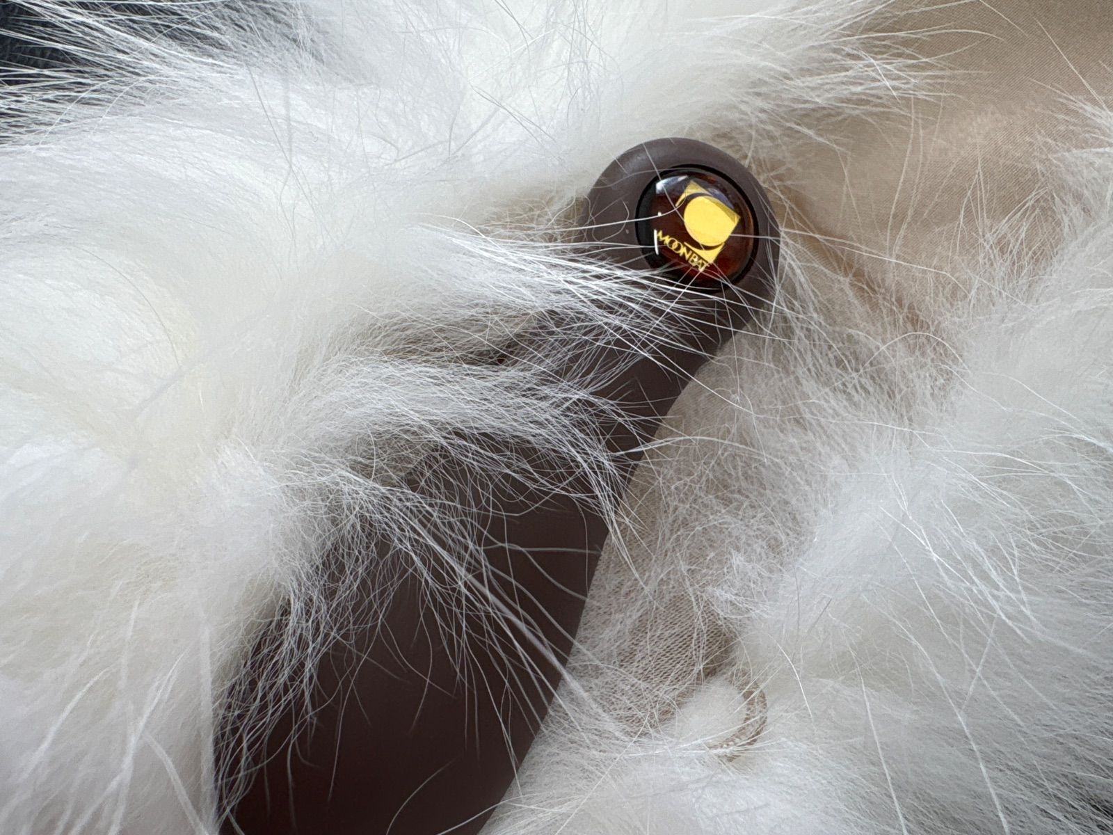 サガフォックス