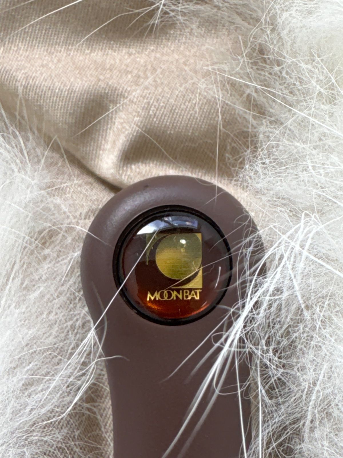 SAGA-FOX サガフォックス