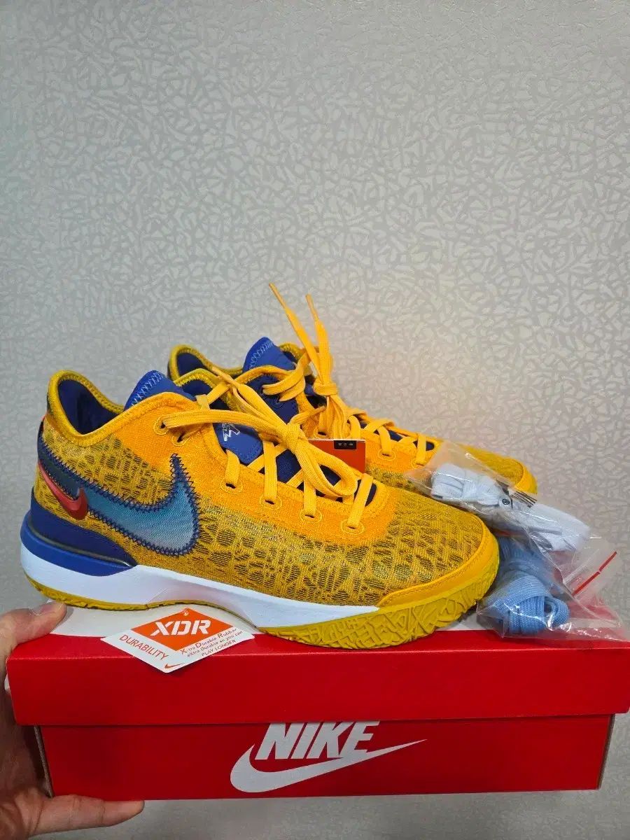 270 NIKE レブロン NXXT ネクスト EP タイタン バスケシューズ