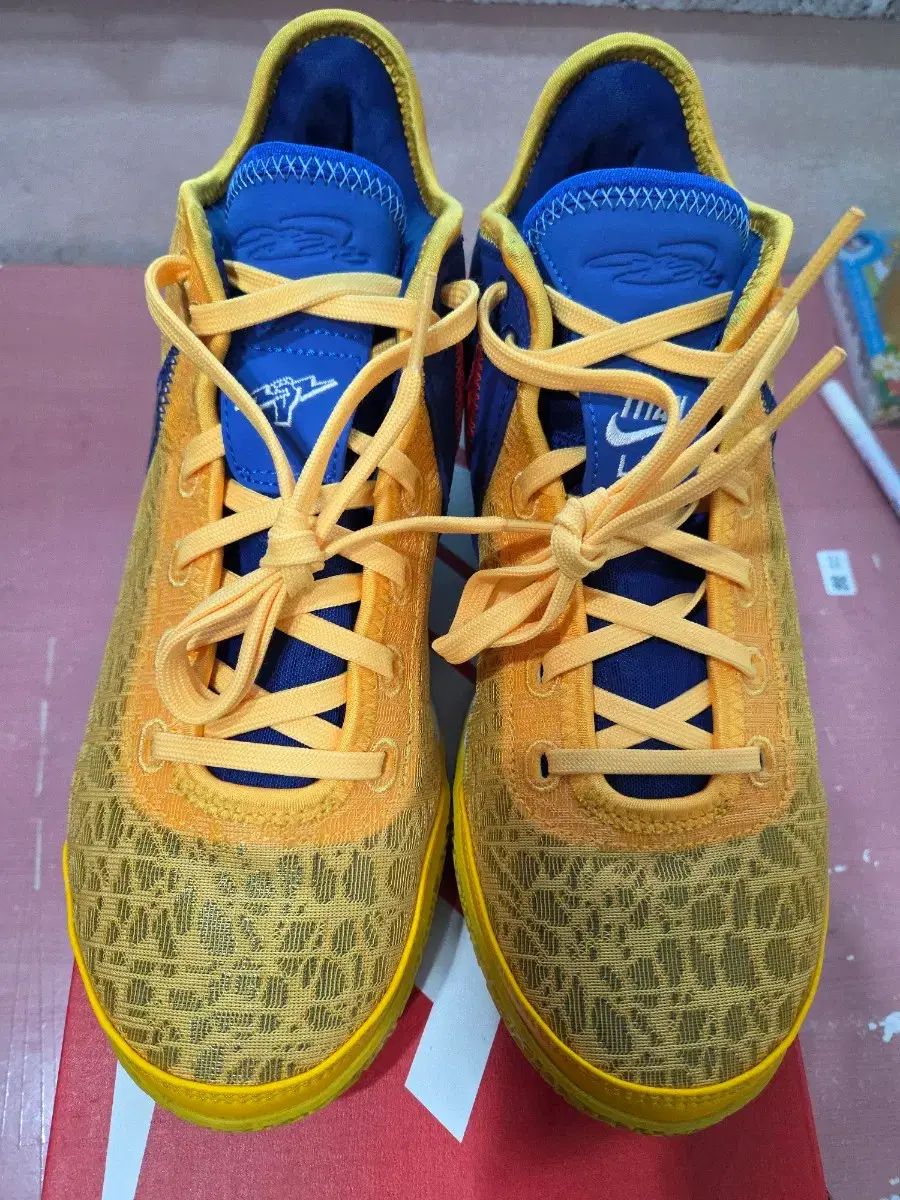 270 NIKE レブロン NXXT ネクスト EP タイタン バスケシューズ